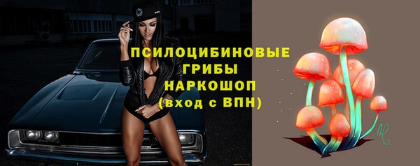 тгк Алексин