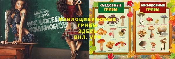 тгк Алексин