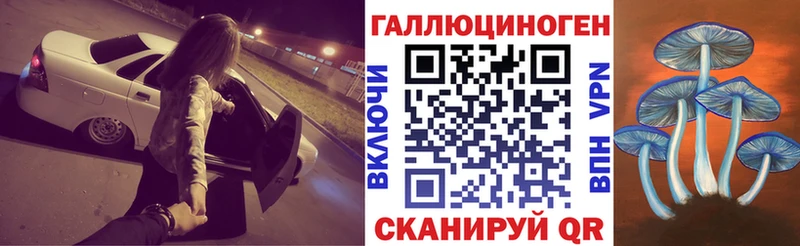 Псилоцибиновые грибы Magic Shrooms  МЕГА ONION  Ейск 