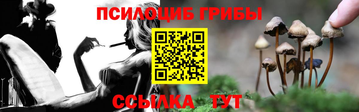 Галлюциногенные грибы GOLDEN TEACHER  Вход с VPN  Ейск 